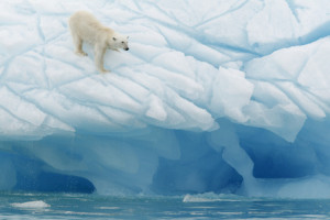 Sea level affected by global warming